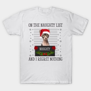 On The Naughty List And I Regret Nothing T-Shirt